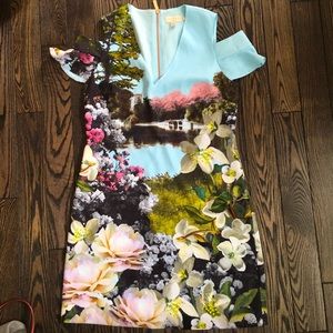NWOT Ted Baker dress